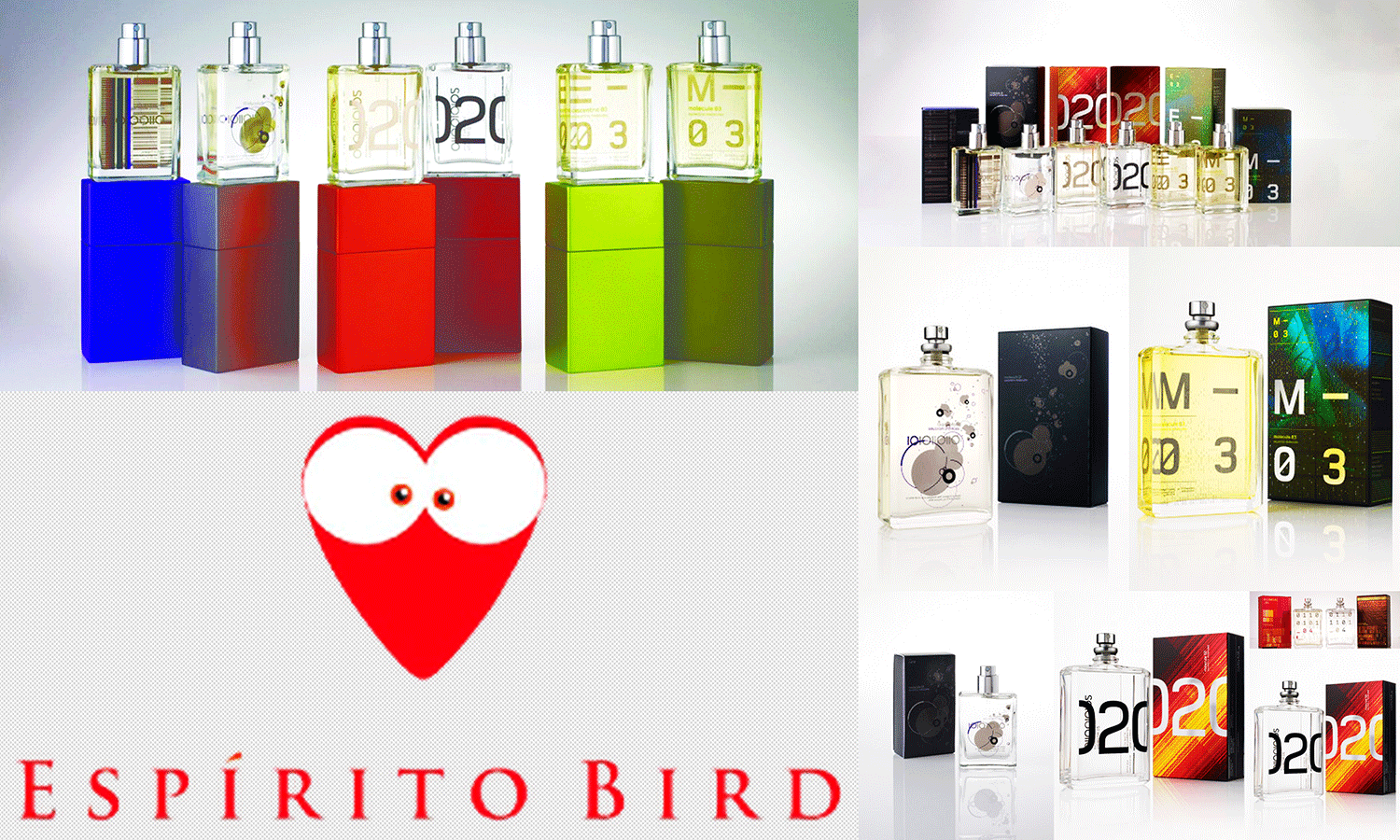 Espirito Bird - Turismo on line