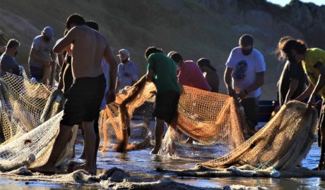 Pesca da Tainha - Fotos mídias sociais divulgação