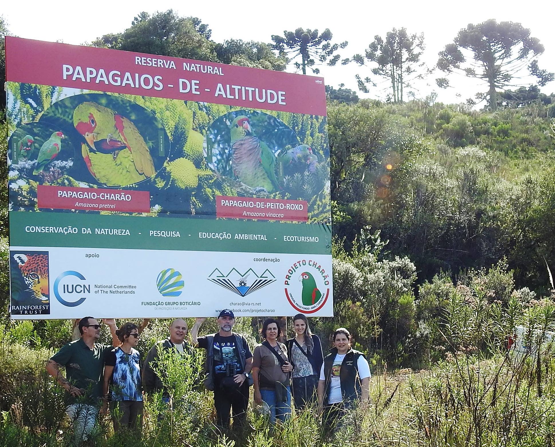 Em 14 de abril será inaugurada a Reserva Particular do Patrimônio Natural (RPPN) federal Papagaios-de-altitude, em Urupema (SC). Mais do que uma conquista válida para o meio ambiente, a área marca 25 anos de parceria entre pesquisadores e instituições de apoio à conservação da natureza. A Associação Amigos do Meio Ambiente (AMA) e a Fundação Grupo Boticário de Proteção à Natureza, desde 1993, atuam na conservação do papagaio-charão (Amazona pretrei) e do papagaio-do-peito-roxo (Amazona vinacea) por meio de iniciativas realizadas no Rio Grande do Sul, Santa Catarina, Paraná e, mais recentemente, no Sudeste do País.