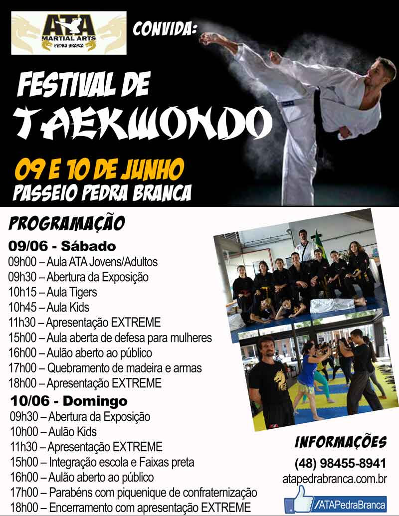 Festival de Taekwondo -Turismo on line