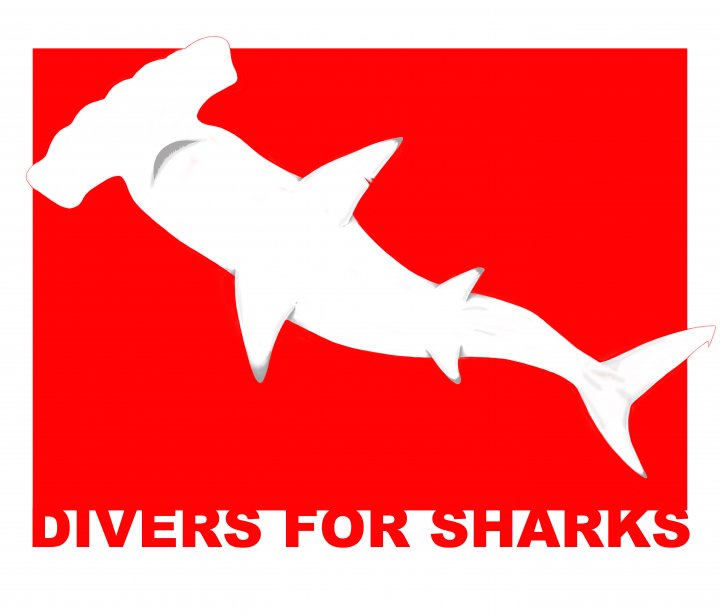 Dive for Sharks - Turismo 