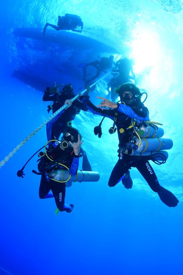 Noronha Diver - Turismo on line