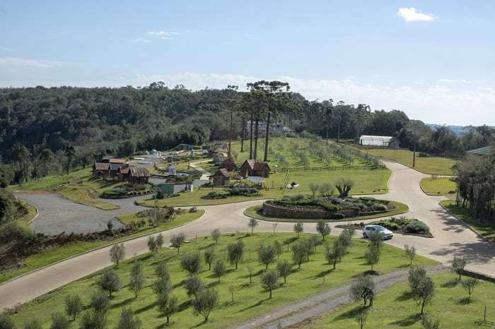 Localizado na área rural de Gramado e com o verde da Mata Atlântica espalhados por todos os lados, o Parque Olivas de Gramado é o atrativo turístico que desponta na serra gaúcha 