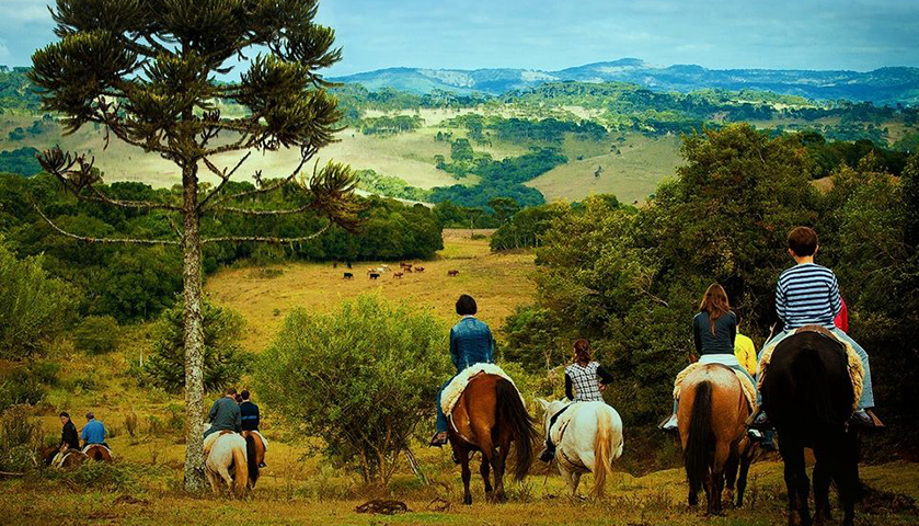 Segue emperrado o turismo de observação de baleias em SC