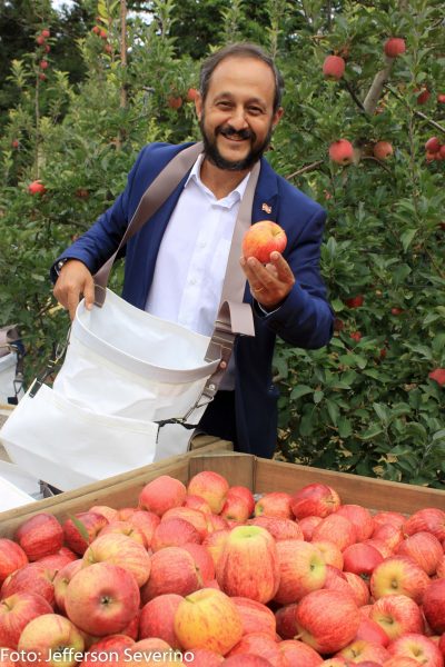  Aberta a maior e melhor temporada da colheita da maçã em Fraiburgo SC