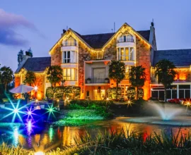 Ricos e inteligentes estão trocando bolsas por passagens aéreas