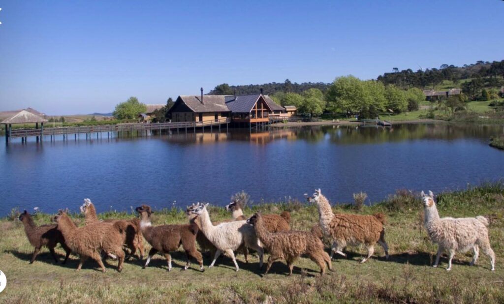 Turistas definitivamente optando por exclusividade, sossego e experiências