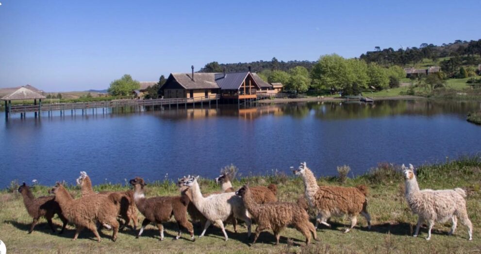 Turistas definitivamente optando por exclusividade, sossego e experiências