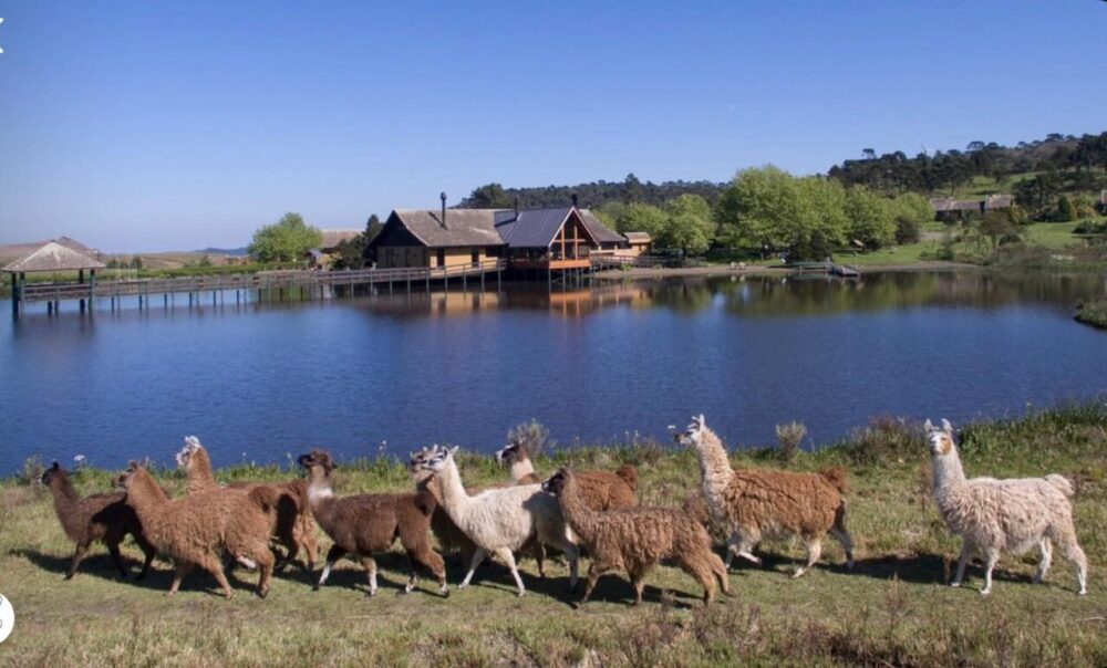 Turistas definitivamente optando por exclusividade, sossego e experiências