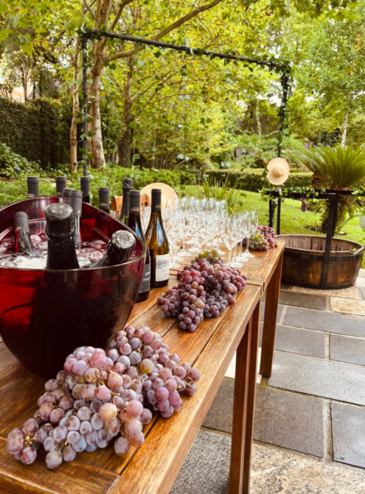 Uva Turismo de experiências conecta mercados internacionais com experiências locais