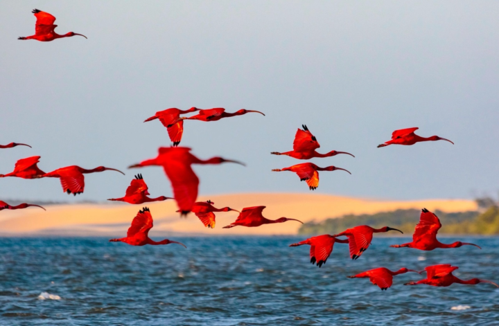 Piauí será a Capital do turismo Nacional com a FETUR 2026