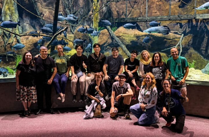 BNT Mercosul 2026 garante presença de agentes viagens